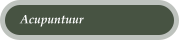 Acupuntuur